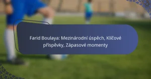 Farid Boulaya: Mezinárodní úspěch, Klíčové příspěvky, Zápasové momenty