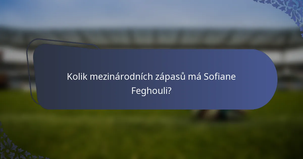 Kolik mezinárodních zápasů má Sofiane Feghouli?