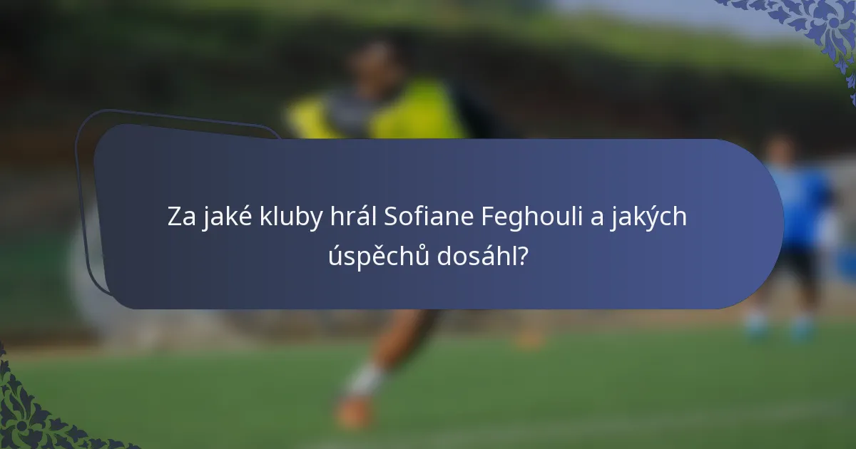 Za jaké kluby hrál Sofiane Feghouli a jakých úspěchů dosáhl?